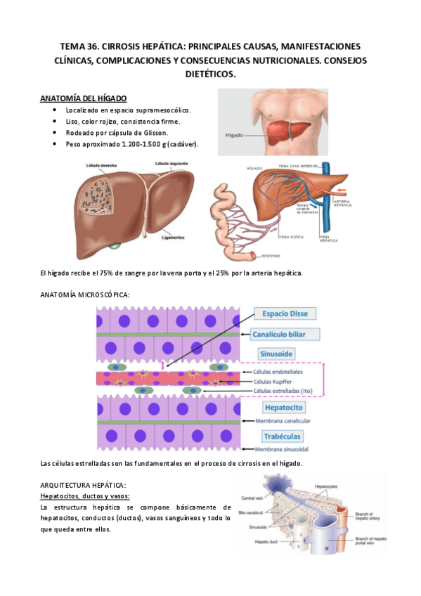 Miniatura del documento Tema 36.pdf