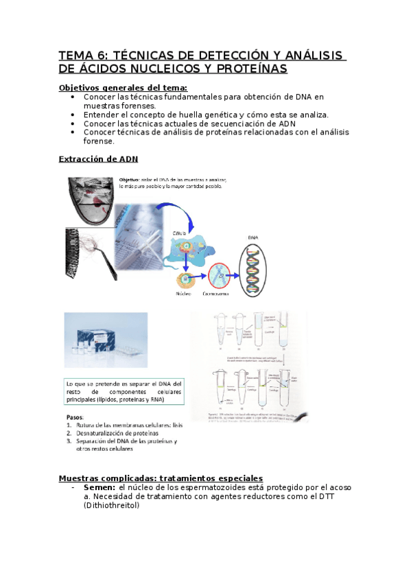 Miniatura del documento TEMA-6.docx