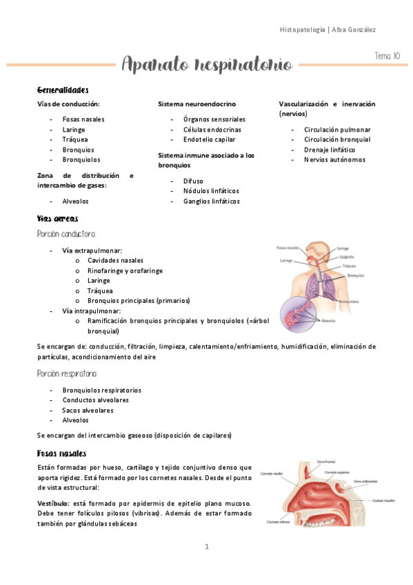 Miniatura del documento Tema-10-Aparato-respiratorio.pdf