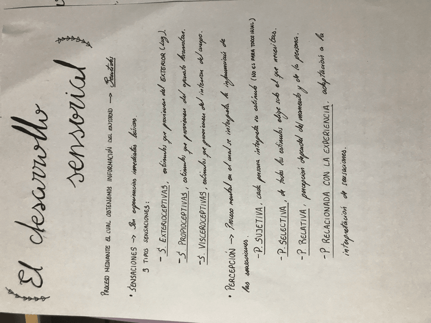 Miniatura del documento image.jpg