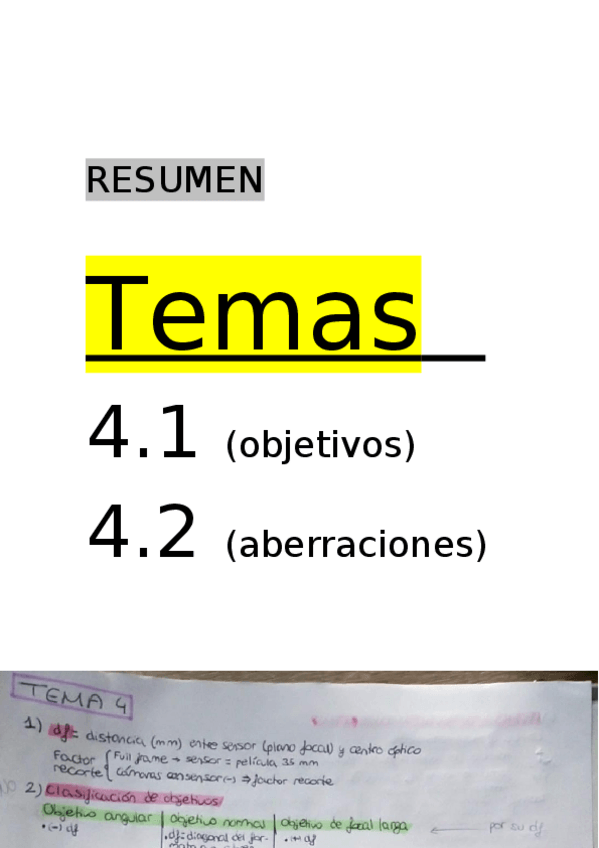 Miniatura del documento RESUMEN.docx