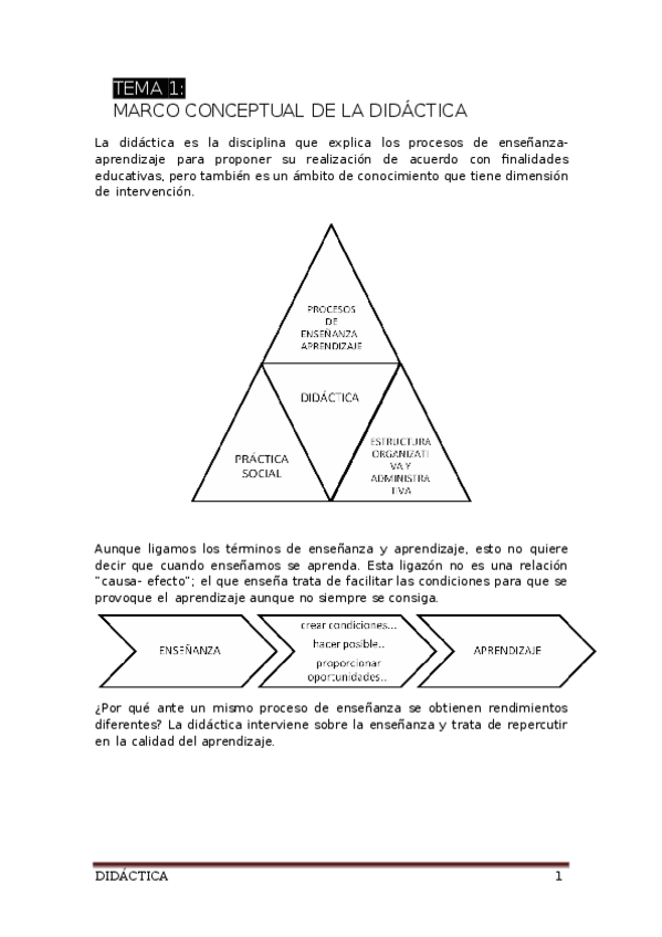 Miniatura del documento DIDACTICA-apuntes-para-imprimir.docx