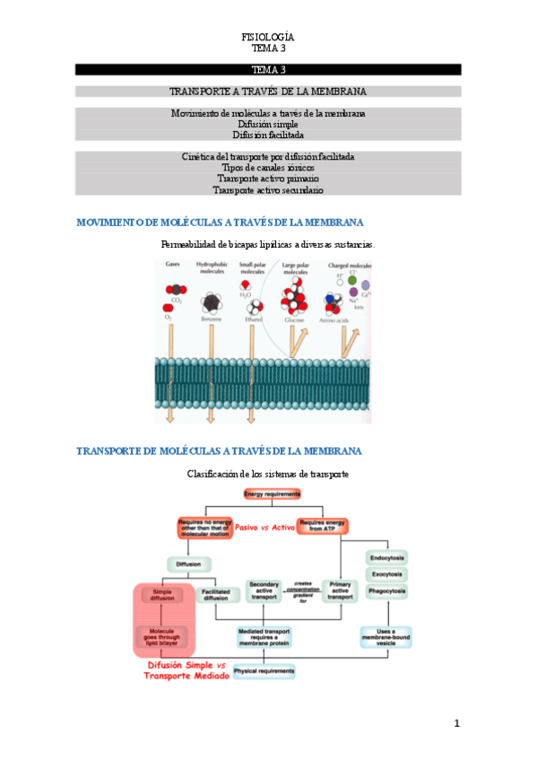 Miniatura del documento T.pdf