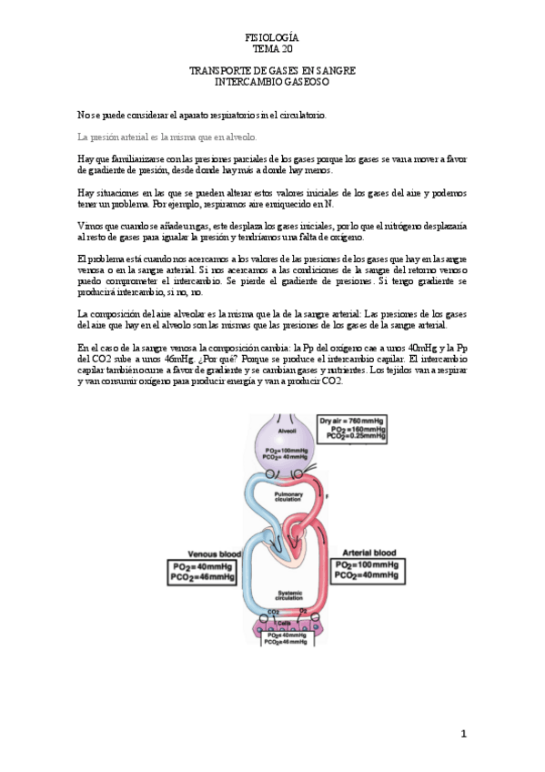Miniatura del documento T.pdf