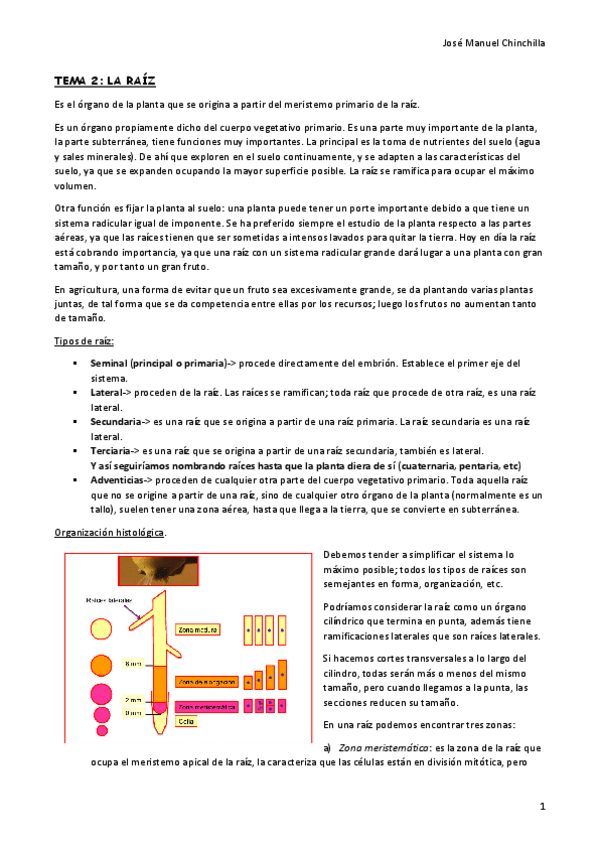 Miniatura del documento TEMA-2.pdf