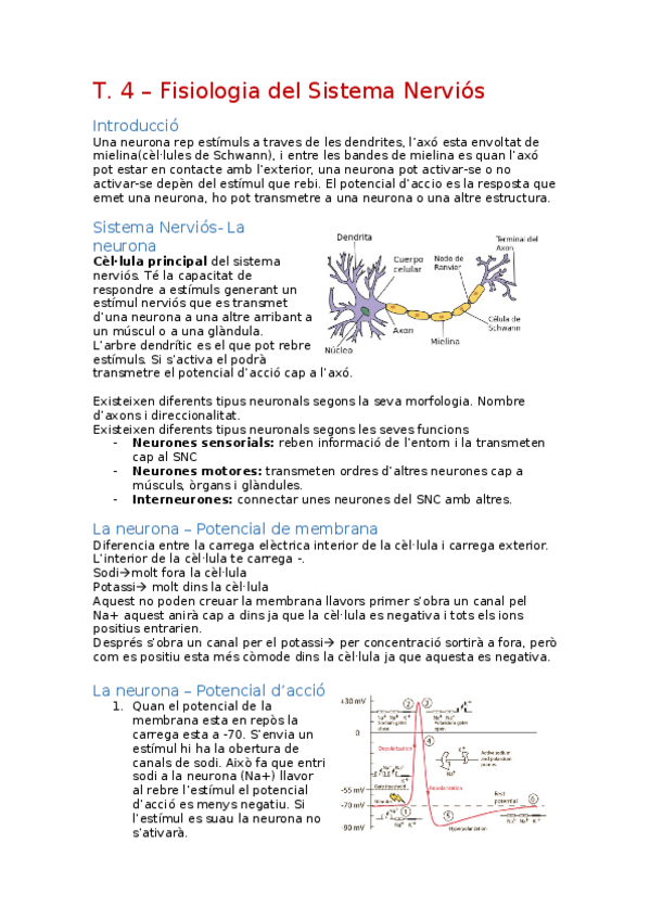 Miniatura del documento Fisiologia-del-sistema-nervios.docx