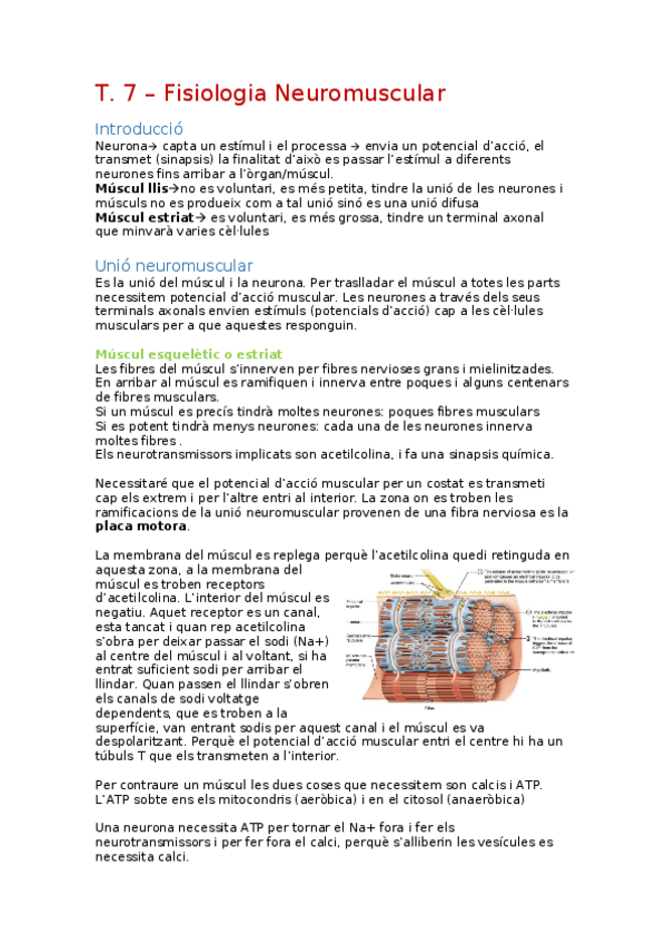 Miniatura del documento Fisiologia-neuromuscular.docx