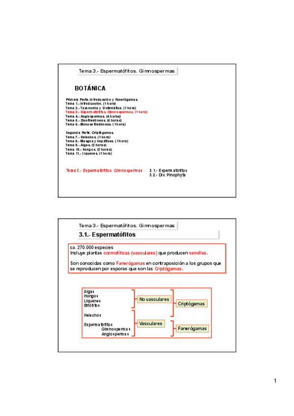 Miniatura del documento Tema-3A-Espermatofitos.pdf