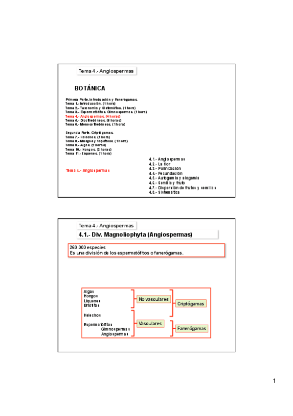 Miniatura del documento Tema-4A-Angiospermas.pdf