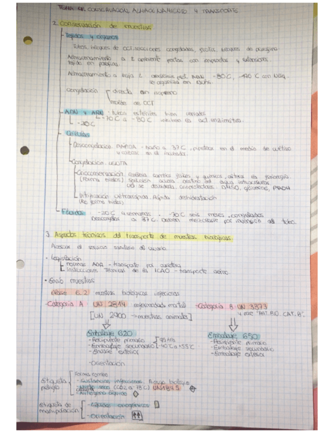 Miniatura del documento Tema-4.-Conservacion-.pdf