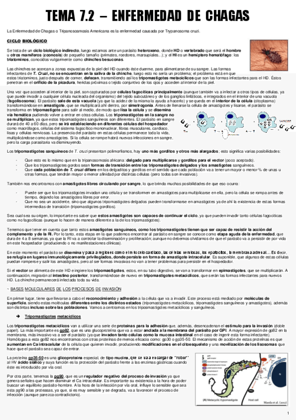 Miniatura del documento TEMA 7.2 - ENF. PARA.pdf