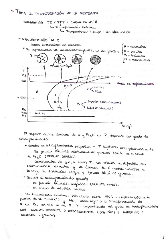 Miniatura del documento TEMA-3.pdf