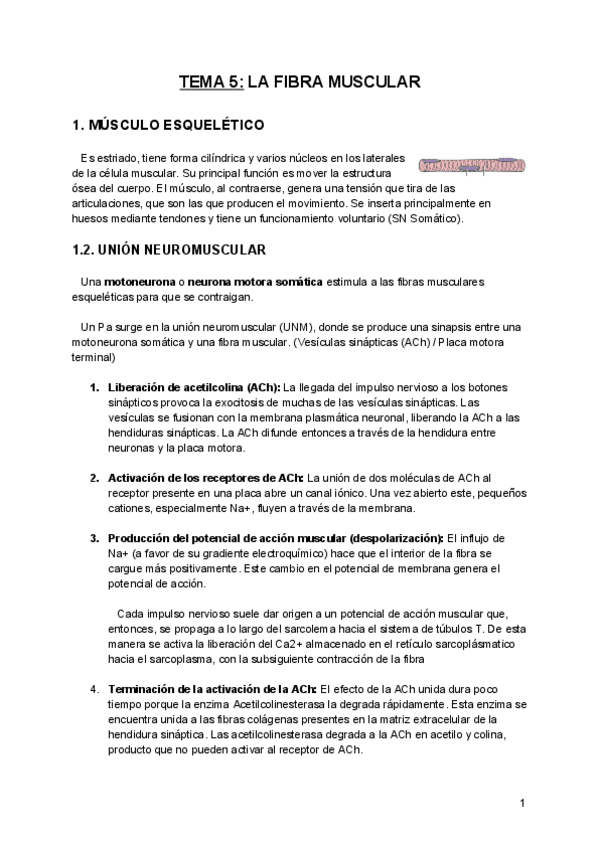 Miniatura del documento Tema-5-FCH.pdf