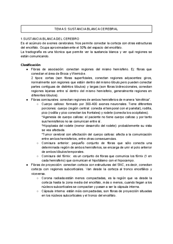 Miniatura del documento TEMA-5-ANATOMIA.pdf