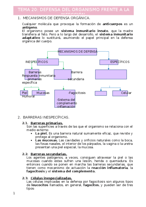 Miniatura del documento Tema-20.docx