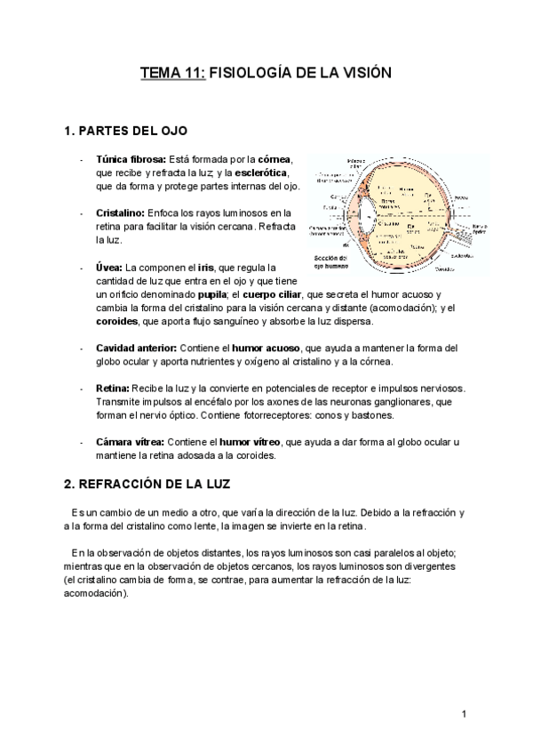 Miniatura del documento Tema-11-FCH.pdf