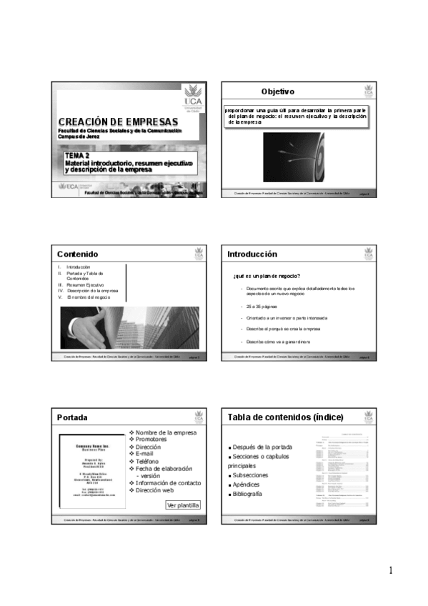 Miniatura del documento TEMA-2-PORTADA-RESUMEN-EJECUTIVO-Y-DESCRIPCION.pdf