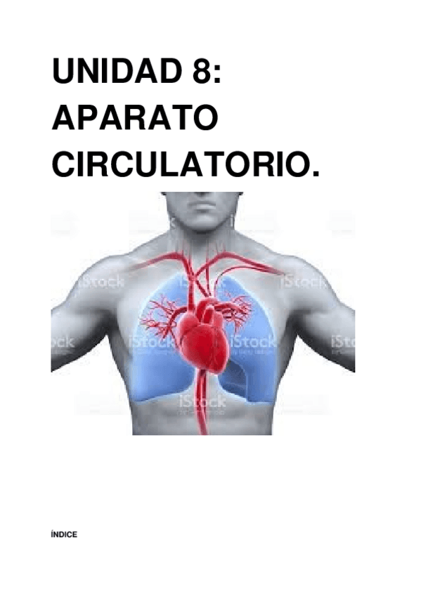 Miniatura del documento UD-8-FG.docx