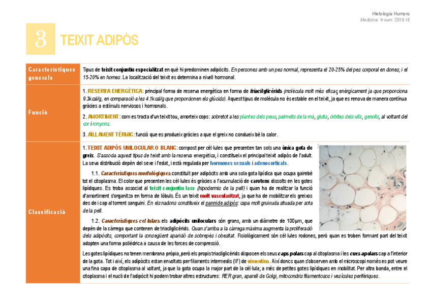 Miniatura del documento 3. Teixit adipós.pdf