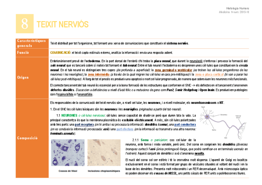 Miniatura del documento 8. Teixit nerviós.pdf