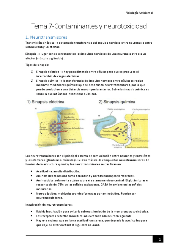 Miniatura del documento Tema-7-Neurotoxicidad-de-contaminantes.pdf
