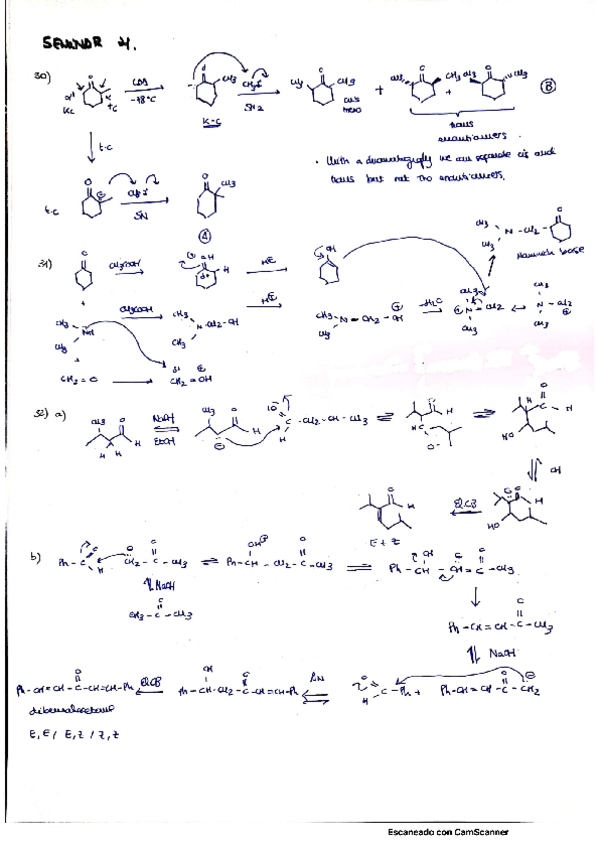 Miniatura del documento SEMINAR-4.pdf