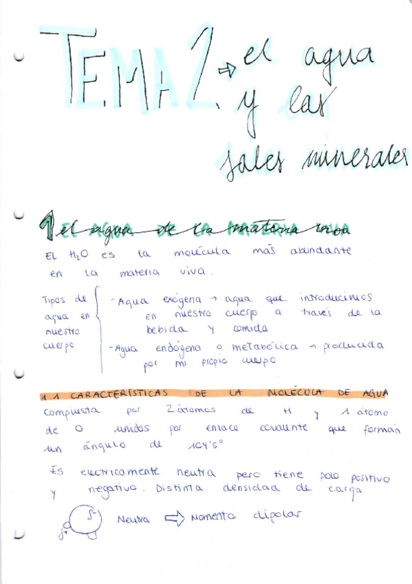 Miniatura del documento TEMA-2.pdf