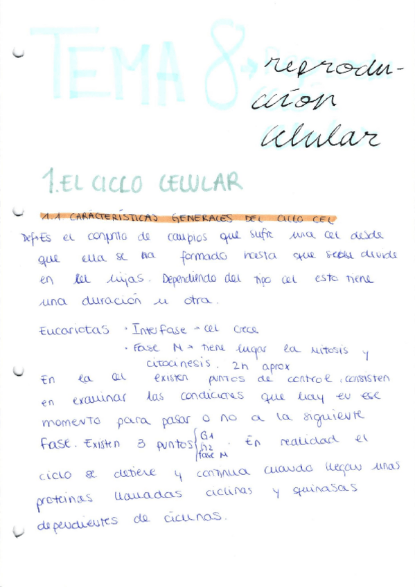 Miniatura del documento TEMA-8.pdf