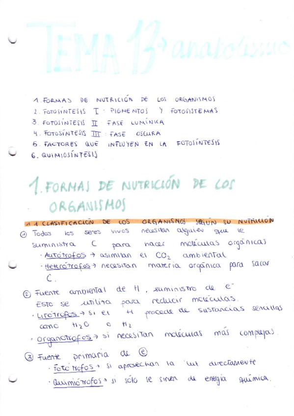 Miniatura del documento TEMA-13.pdf
