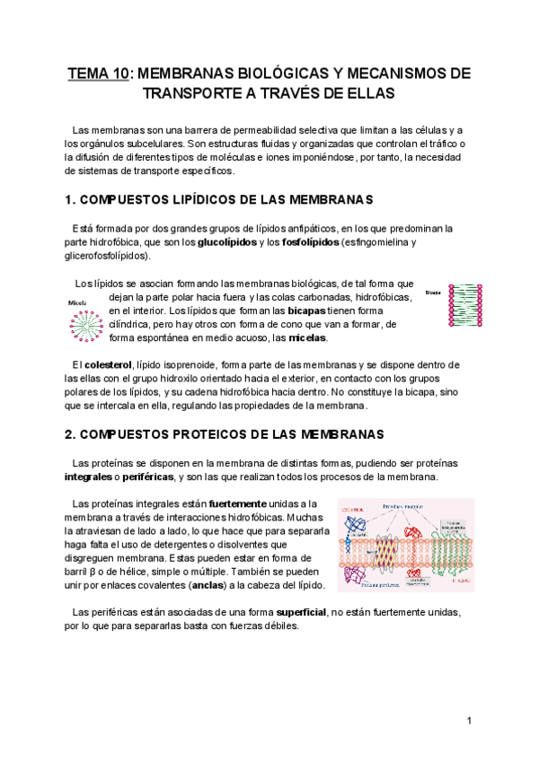 Miniatura del documento Tema-10-BQE.pdf
