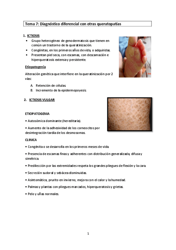 Miniatura del documento TEMA-7.pdf