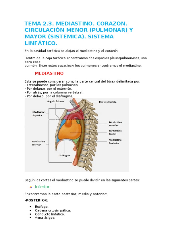 Miniatura del documento TEMA-2.docx