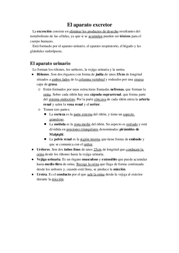 Miniatura del documento El-aparato-excretor.docx