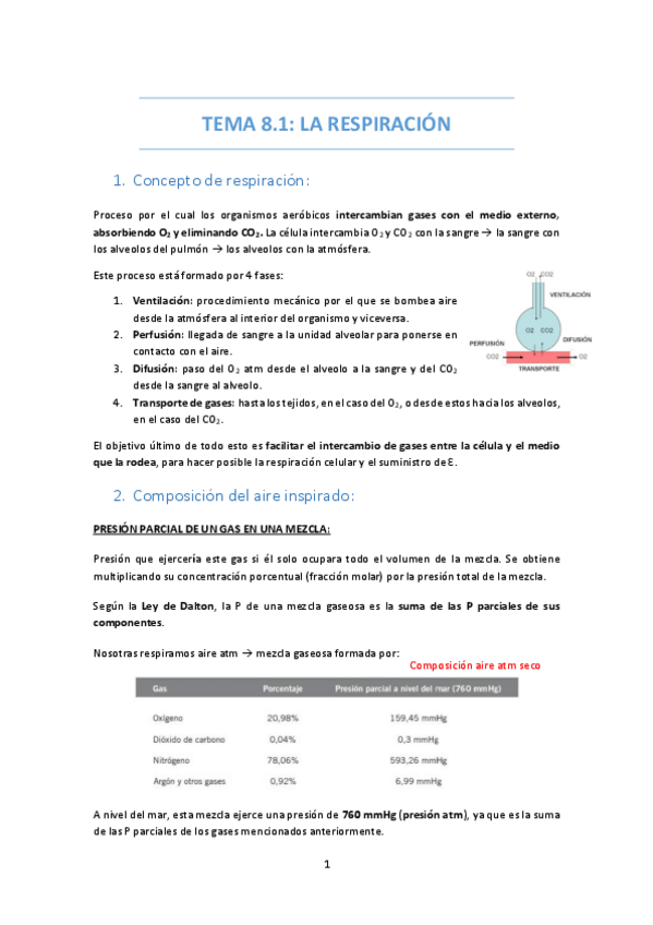 Miniatura del documento TEMA-8-RESPIRACION-Y-VENTILACION.pdf