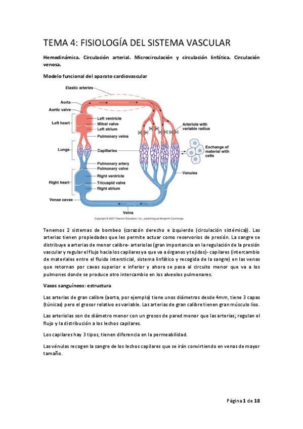 Miniatura del documento FISIOII-T4.pdf