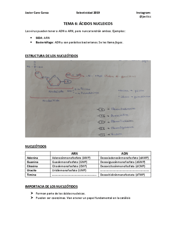 Miniatura del documento 6-ACIDOS-NUCLEICOS-ampliacion.pdf