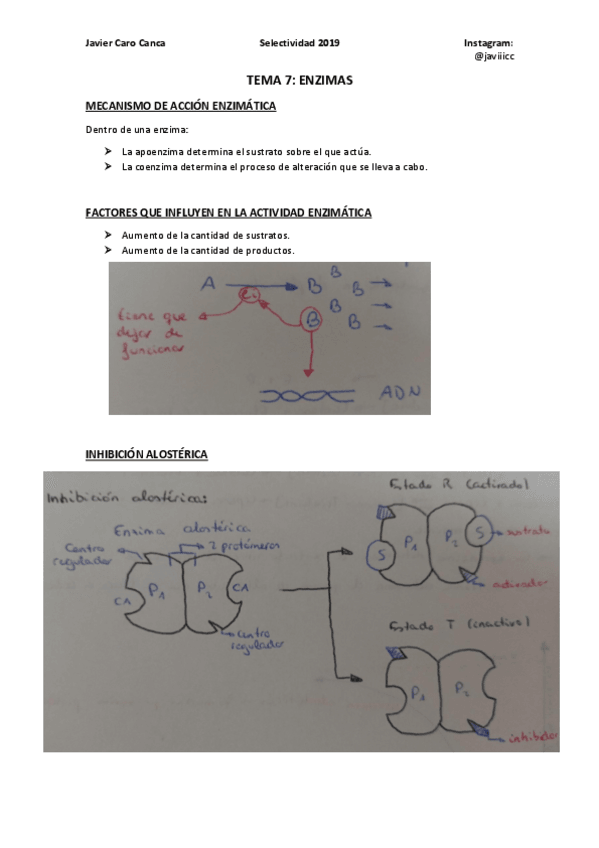 Miniatura del documento 7-ENZIMAS-ampliacion.pdf