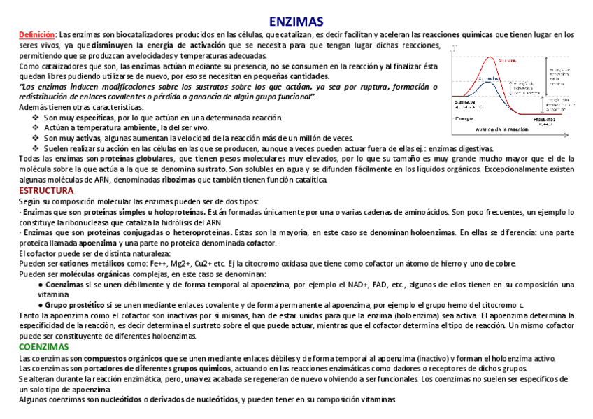 Miniatura del documento 7-ENZIMAS.pdf