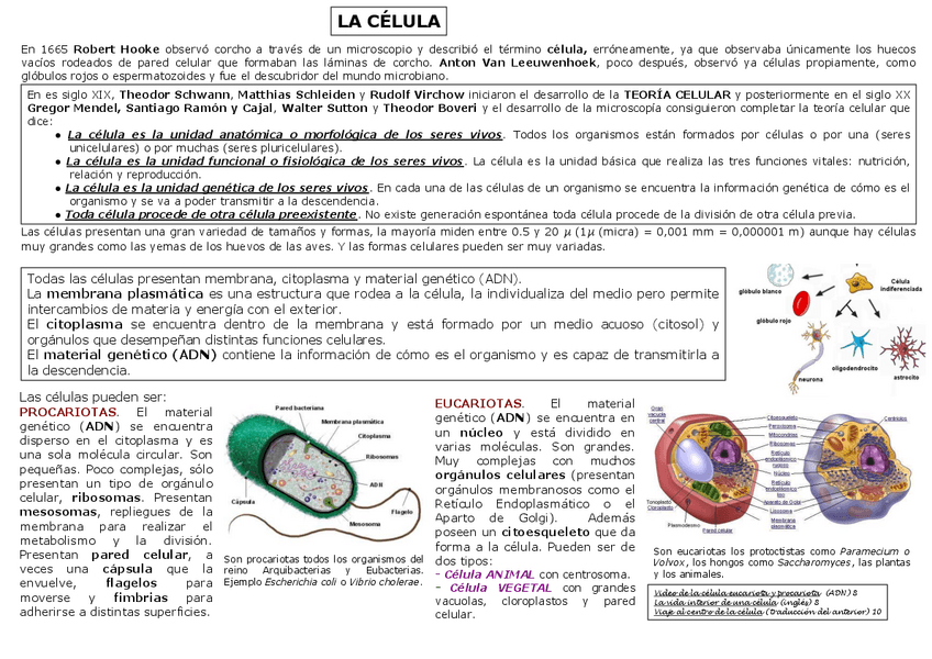 Miniatura del documento 9-LA-CELULA.pdf