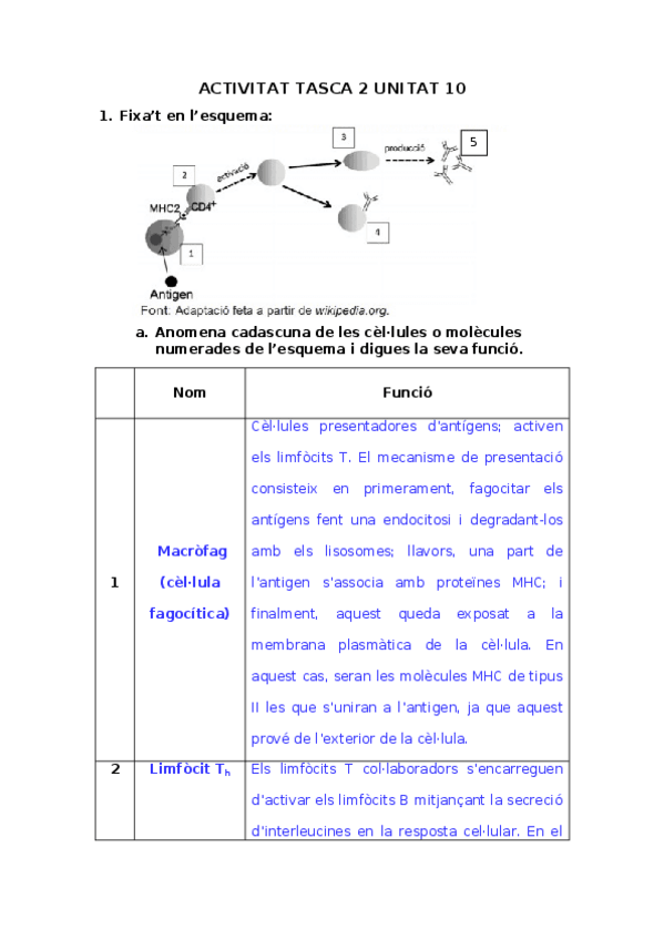 Miniatura del documento GONZALOCarles-ACTIVITAT-TASCA-2-UNITAT-10.docx