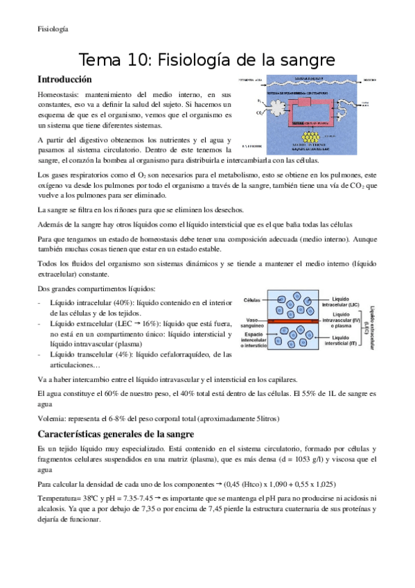 Miniatura del documento Tema-10-Fisiologia-de-la-sangre.docx