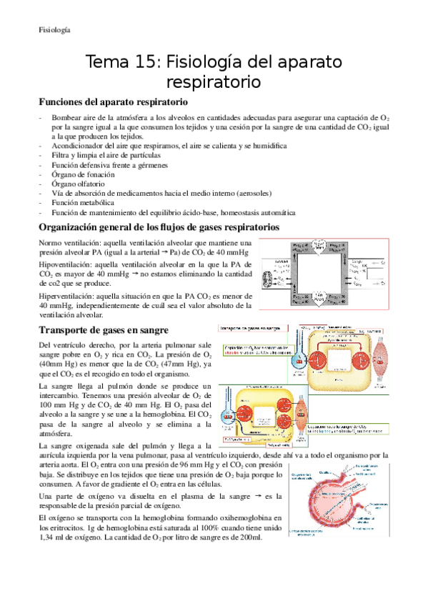 Miniatura del documento Tema-17-Fisiologia-del-aparato-respiratorio.docx