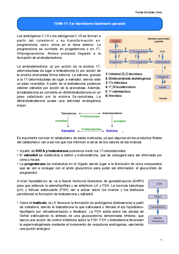 Miniatura del documento TEMA-17.pdf