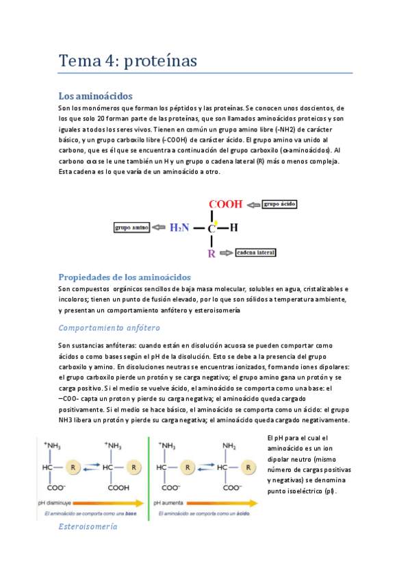Miniatura del documento Tema-4-proteinas.pdf