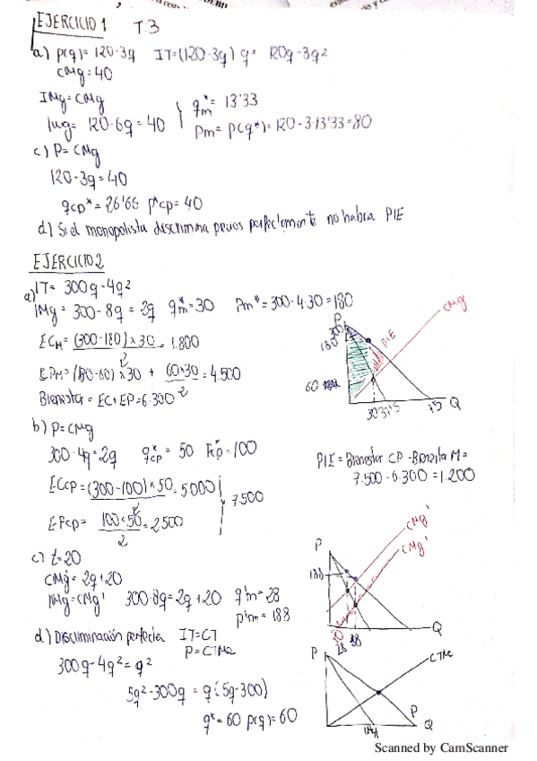 Miniatura del documento tema-3.pdf