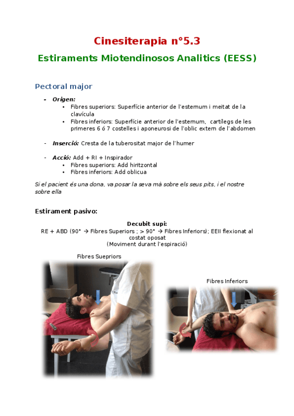 Miniatura del documento Cinesiterapia-n5.docx