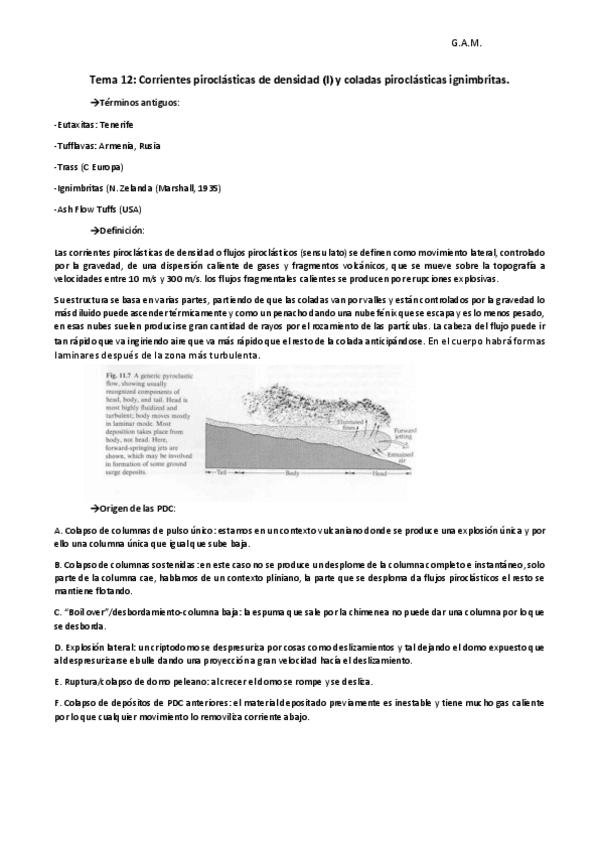Miniatura del documento Tema 12 VULCA.pdf