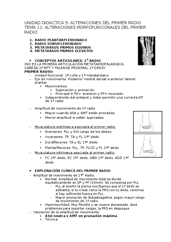 Miniatura del documento TEMA-11.docx