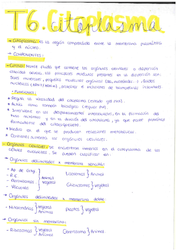 Miniatura del documento Tema-6-El-citoplasma.pdf