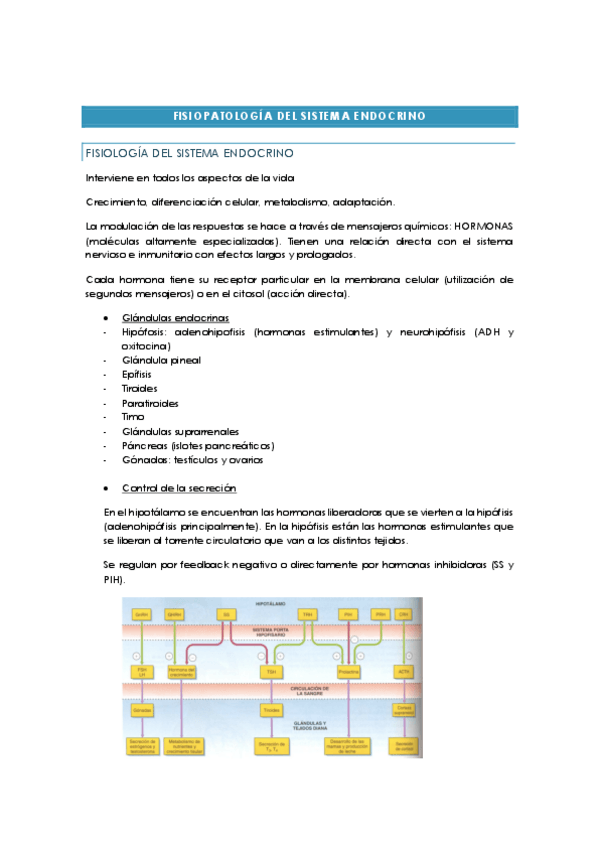 Miniatura del documento FISIOPATOLOGIA-DEL-SISTEMA-ENDOCRINO.pdf
